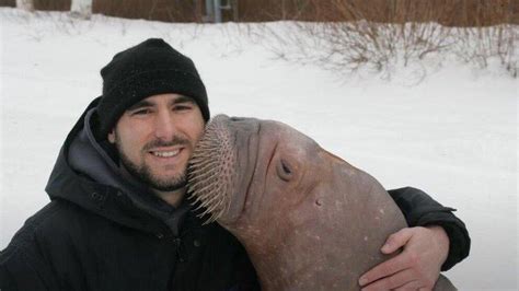 smoochi|How Canadian walrus Smooshi ended up in Abu。